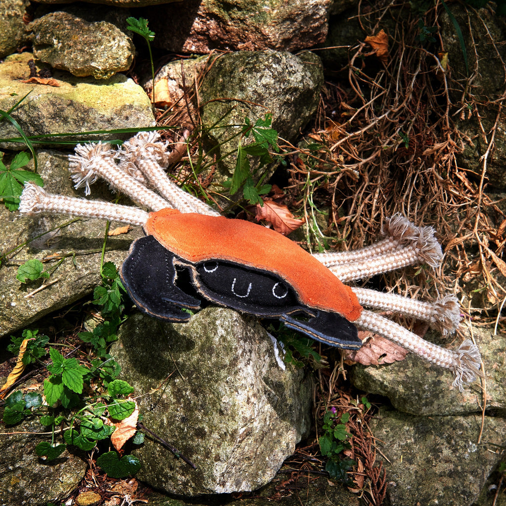 Carlos the Crab dog toy