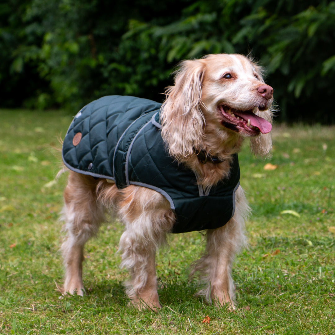 Heritage Green Quilted coat