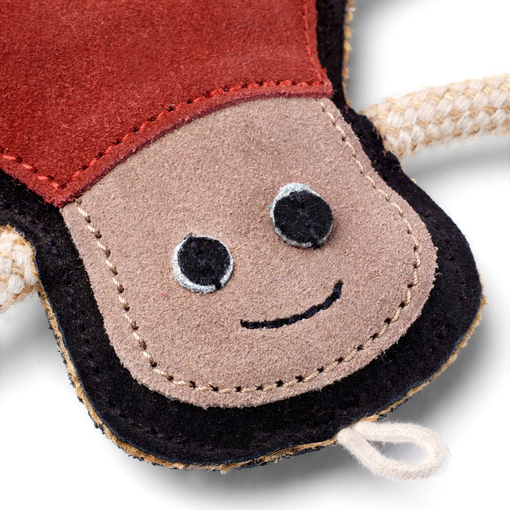 Spike the Spider dog toy