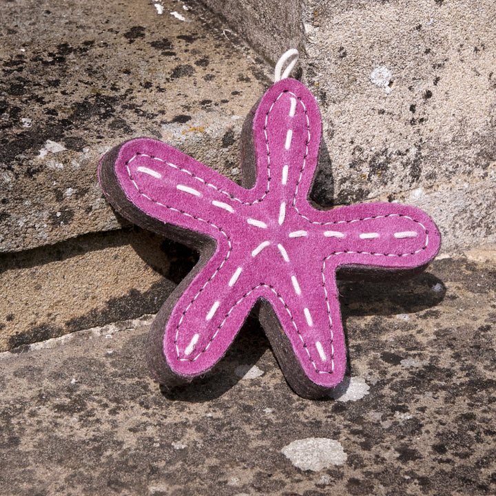 Stanley the Starfish