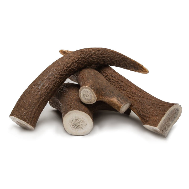 Antler