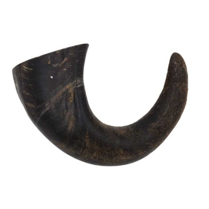 Buffalo Horn