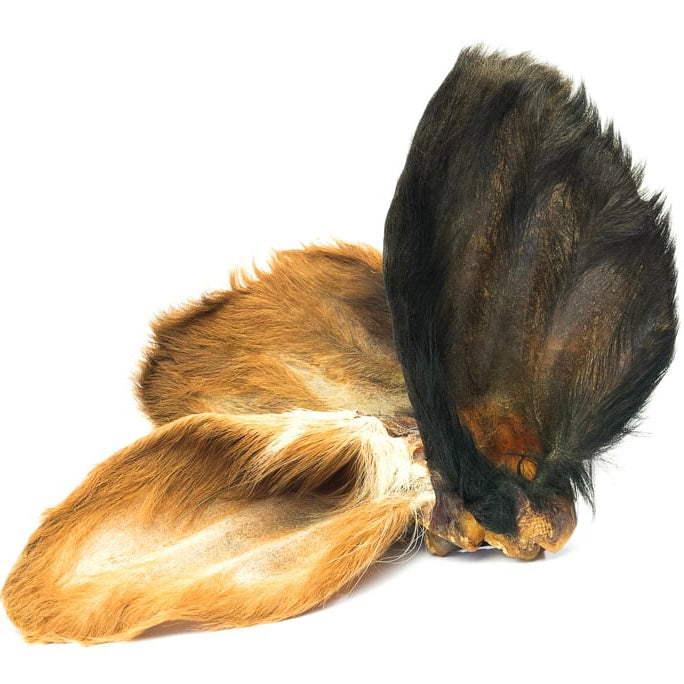 Cow Ears (Hairy)
