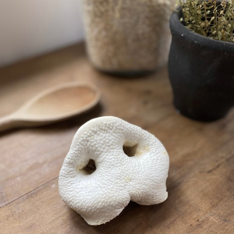 Pig’s Noses