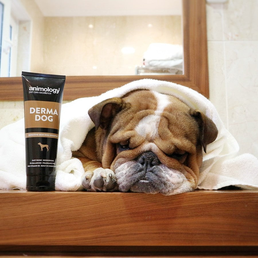 Derma Dog