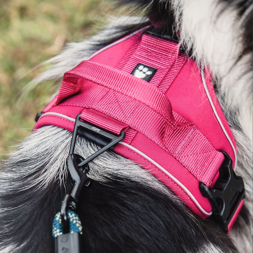 dog harness hurtta pink