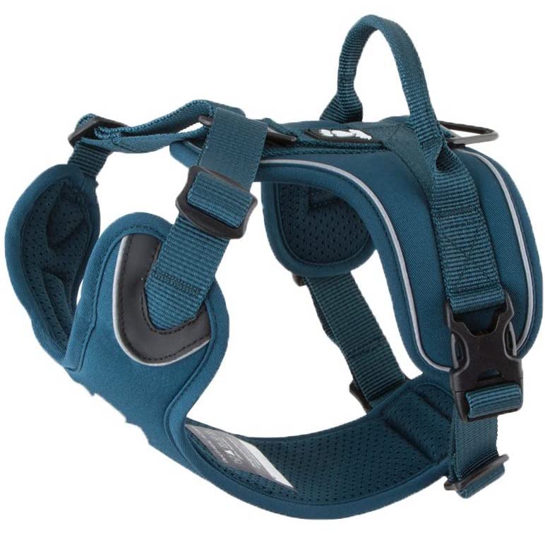 dog harness hurtta teal