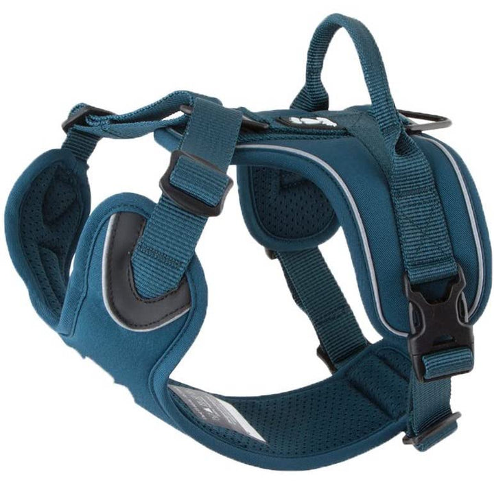 dog harness hurtta teal