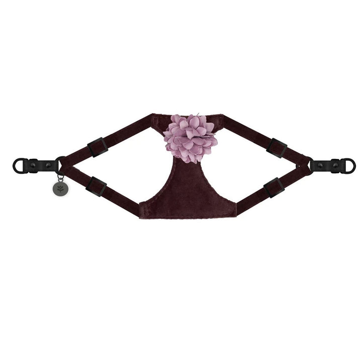 Velvet Flower