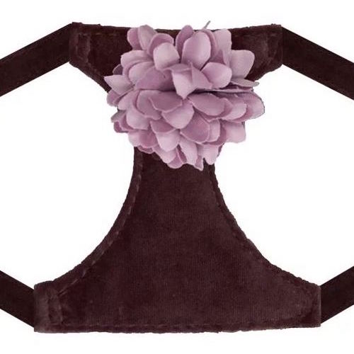 Velvet Flower