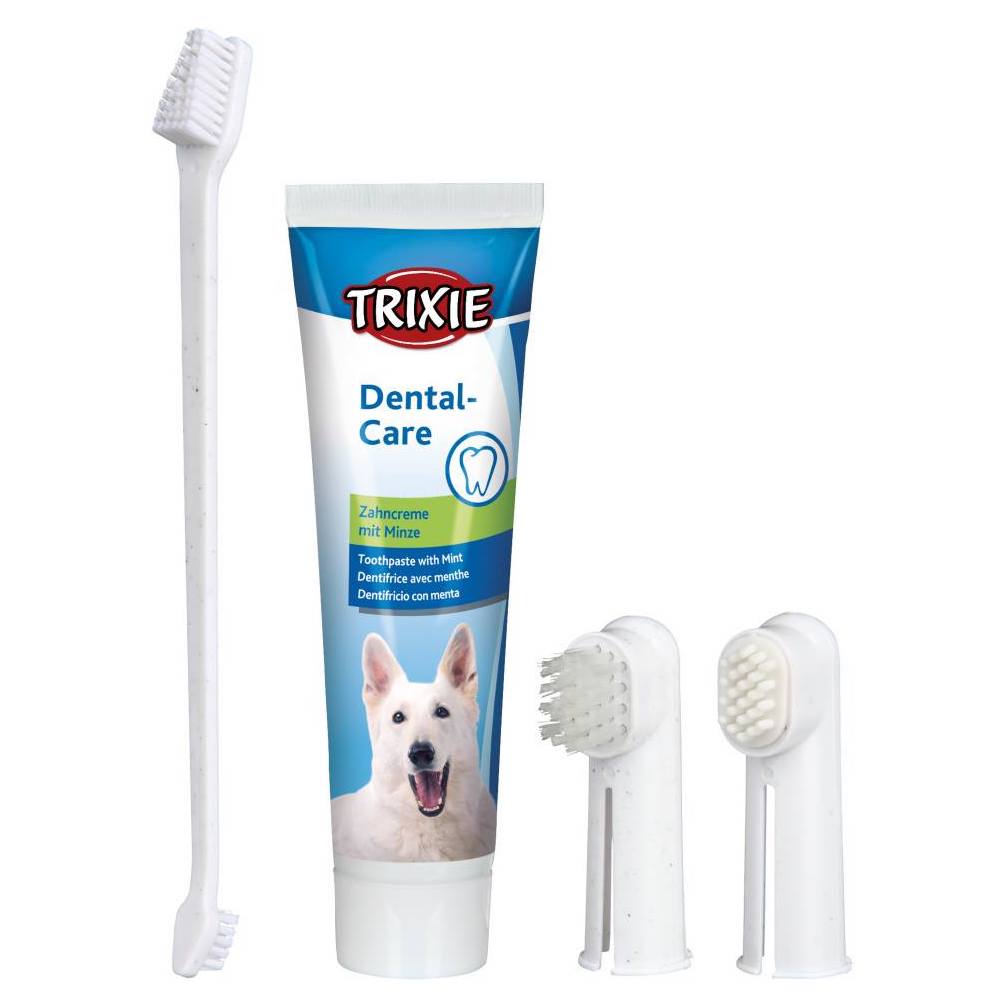 Dental Hygiene Set