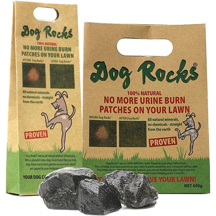 Dog Rocks