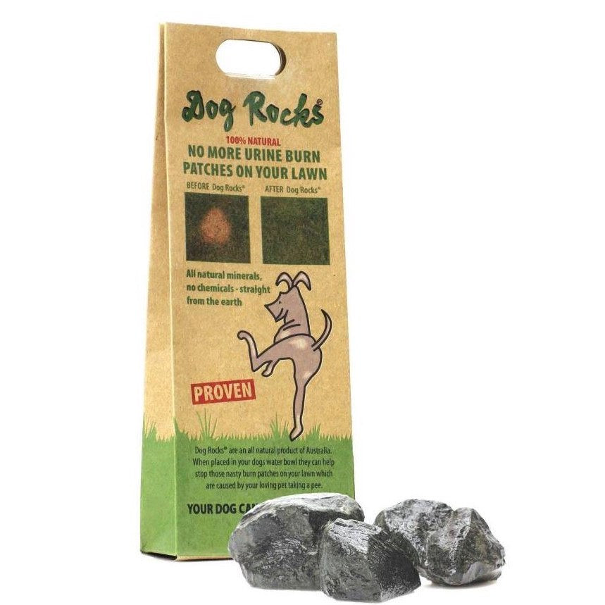 Dog Rocks