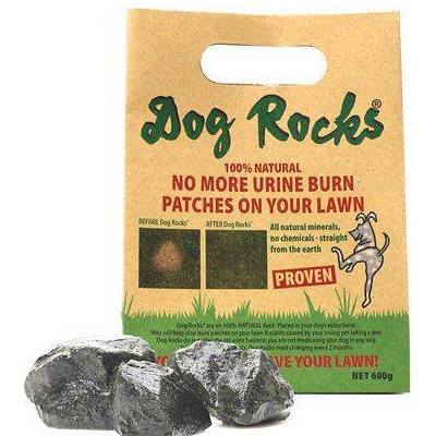 Dog Rocks