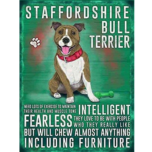 Staffordshire Bull Terrier