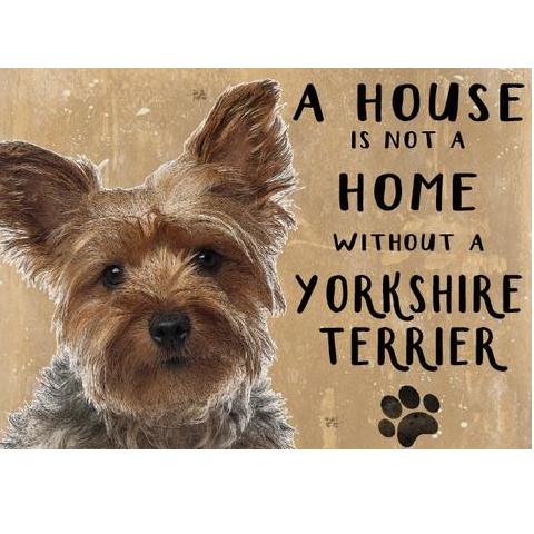 Yorkshire Terrier