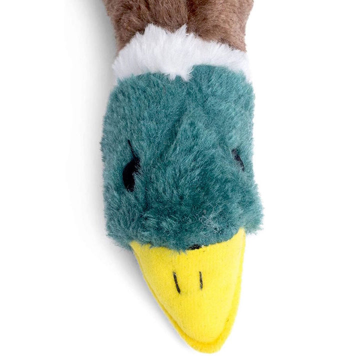 Honking Duck
