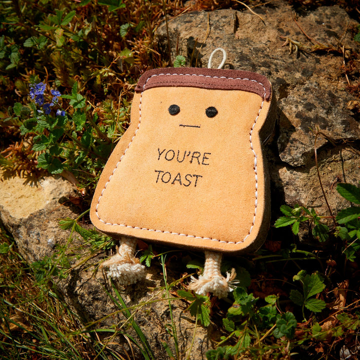 You're Toast dog toy