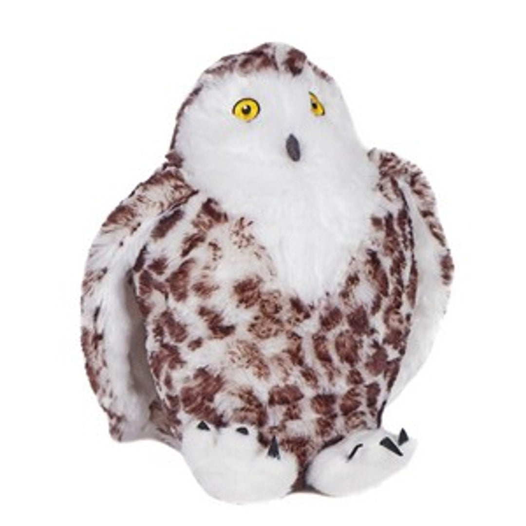 Suri Snowy Owl