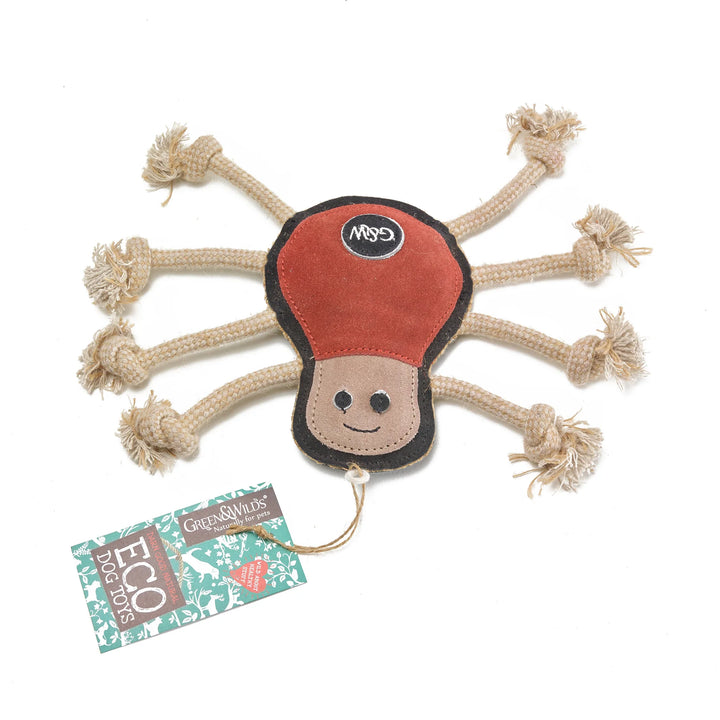 Spike the Spider dog toy