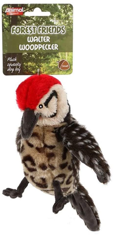 Walter woodpecker