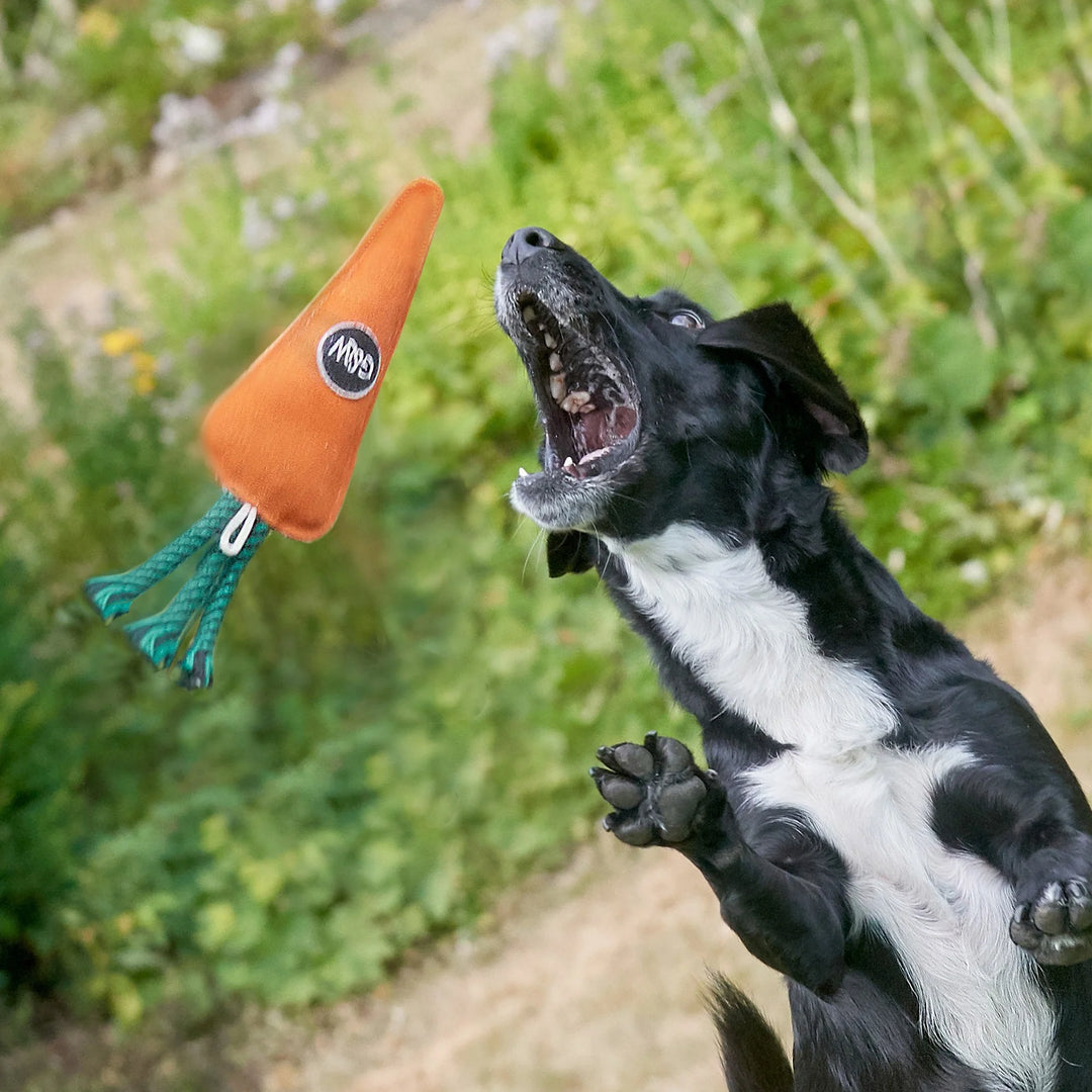 Candice the Carrot dog toy