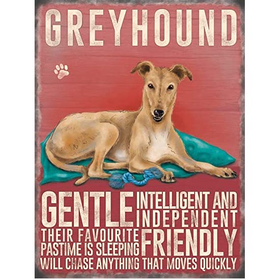 Cream Greyhound